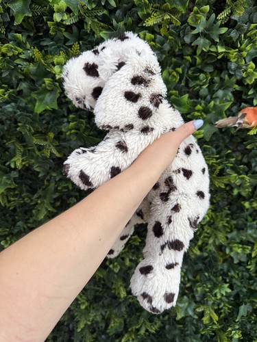 Happy horse dalmation - horse,