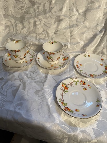 Royal paragon fine bone - paragon,