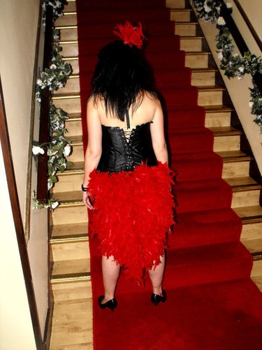 Red burlesque feather bustle - feather,