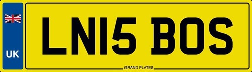 Boss number plate - ln,