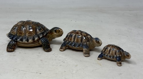 Wade tortoise lidded - tortoise, trinket