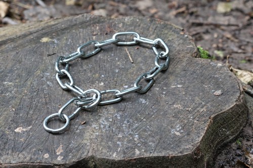 5mm chain dog collar - dog,