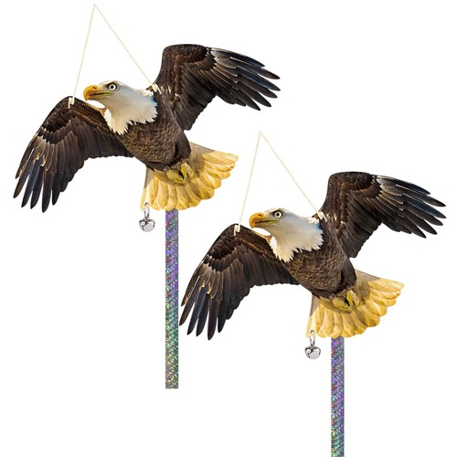 Hawk bird scarers for gardens - hawk,