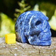 Sodalite Crystal Skull Carving