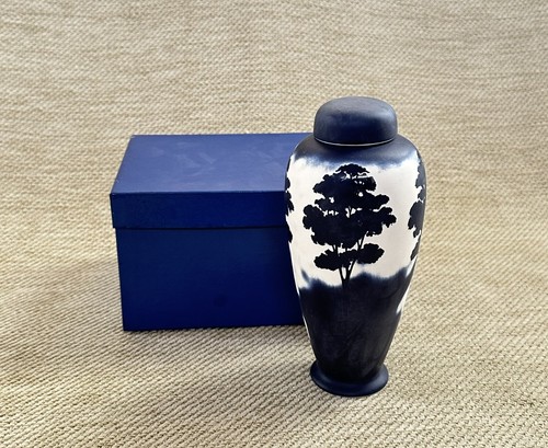 Boxed blue ivory - blue,