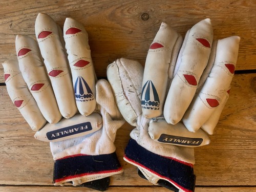 Cricket batsman gloves - batsman's,