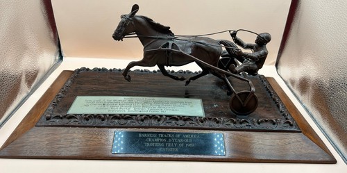 Bronze harness racing - harness, horse