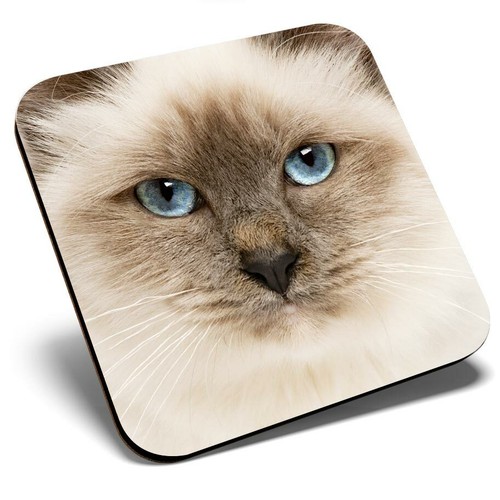 Square single coaster blue - coaster,