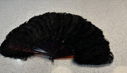 Antique black ostrich - ostrich, fan