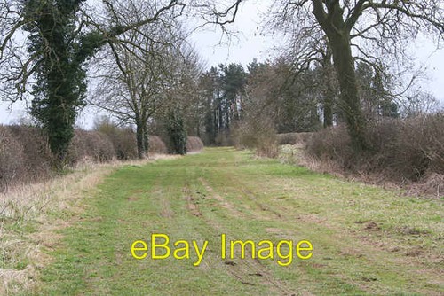 Photo 6x4 pinfold lane - photo,