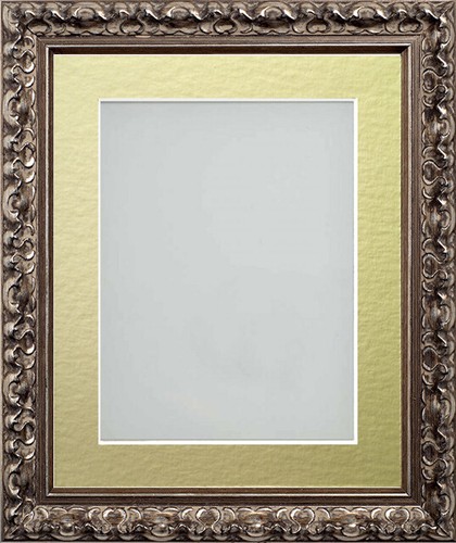 Ornate bronze picture frames - ornate,