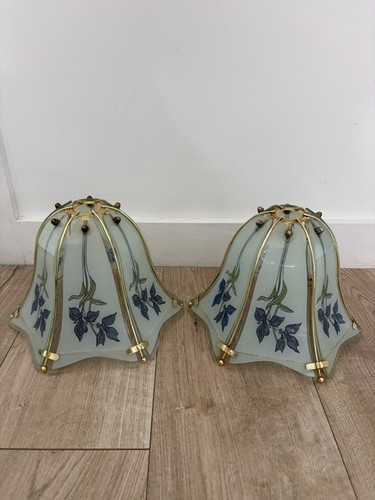Vintage blue iris frosted - x2, 6