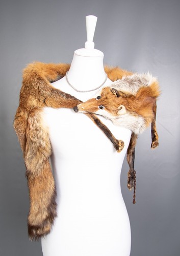 1404 glamorous real red fox - real,