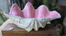 Large Antique Clam Shell, Pink