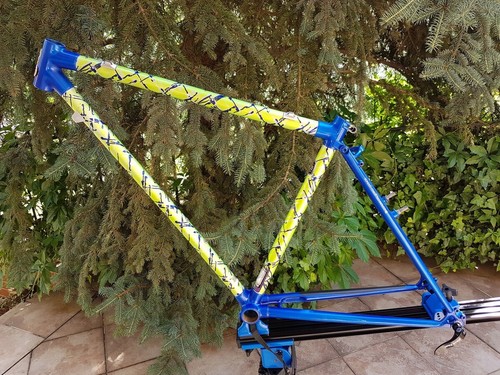 Raleigh dyna tech - raleigh, steel