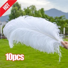 10PCS Large Ostrich Feathers For Wedding Party Home Costume Decoration 20-25cm