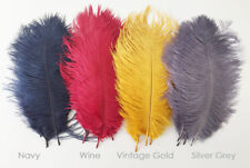 Ostrich Feathers Various Length Wedding Costume Party Craft Fascinator Hat Decor