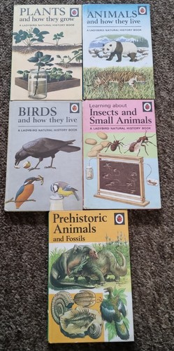 Ladybird books animals and - books,