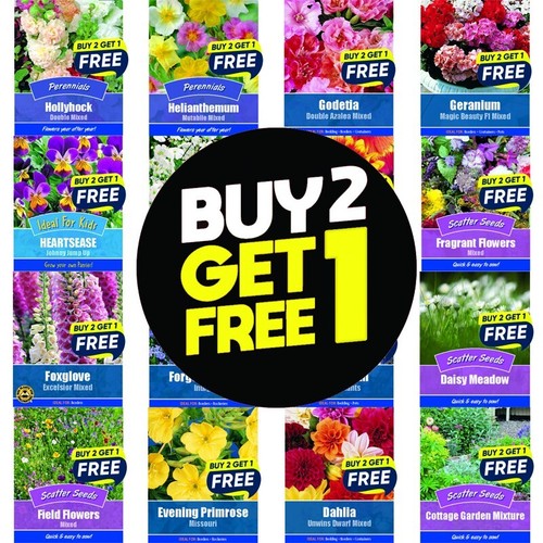Flower seeds plants borders - flower,