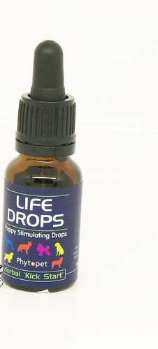 Life drops herbal whelping - life,