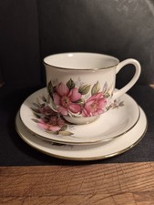 Paragon 'Prairie Rose' Bone