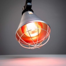 Infrared Heat Lamp Poultry, Puppies, Dog, Kittens Piglets Animals With 250W Bulb