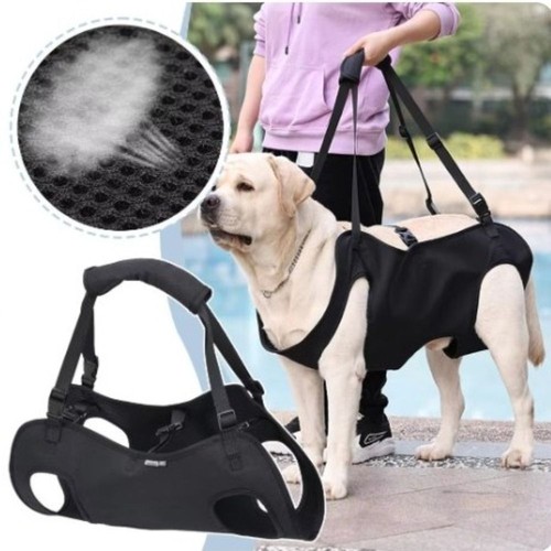 Dog lift harness for - dog,