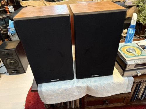 Pair large sharp - of,