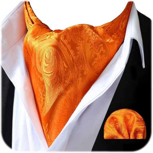 Ascot ties for men - ties, paisley