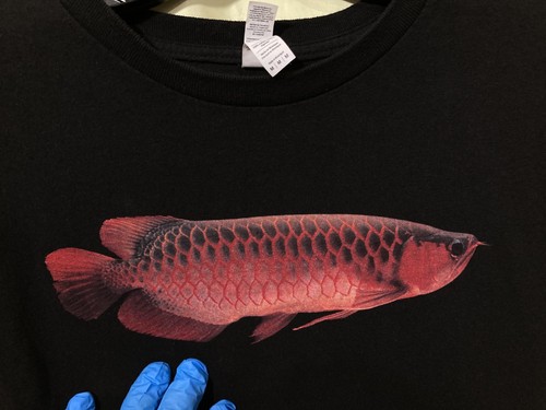 Super red asian arowana unisex - red,