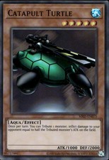 Catapult Turtle 25th Ann
