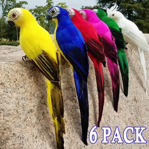Creative foam feather - 6x,