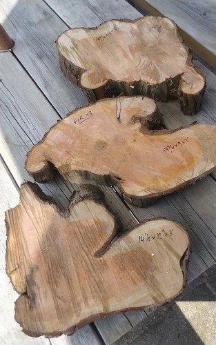Fir cookies bowl blanks wood - fir,
