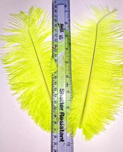 Grip select ostrich plumes - select,