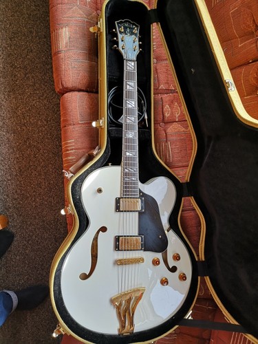 Washburn washington guitar - j-9,