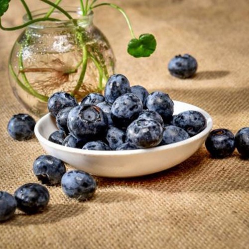 20pcs artificial blueberry - 20pcs,
