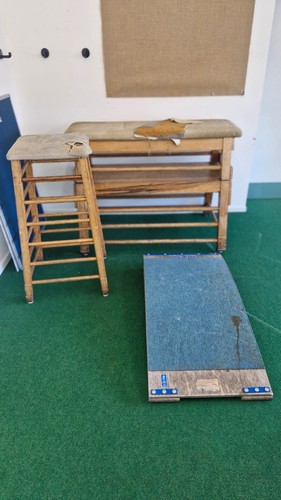 Vaulting horse spring board - vaulting, horse,
