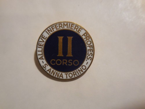 Anna professional nursing - s.,