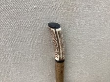 Red Deer Antler Walking  Hazel