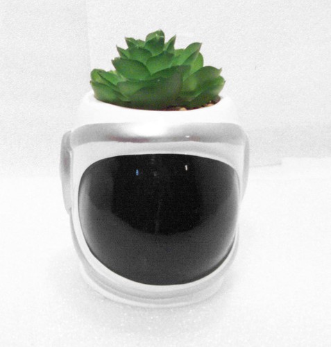 Nasa astronaut helmet planter - astronaut,