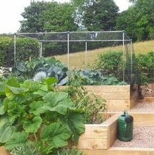 Vegetable Fruit Cages Erected