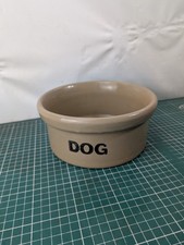 Pearsons Of Chesterfield Dog