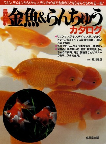 Japanese goldfish kingyo - japanese,