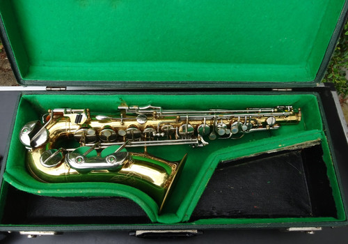Alto saxophone the - alto,