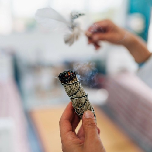 220 smudging sage seeds - 220,