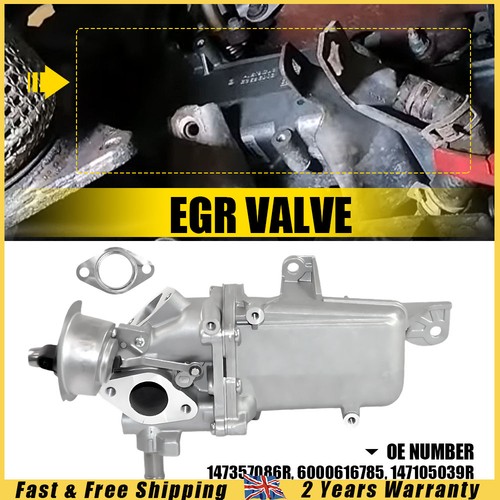 Egr cooler gas valve - egr,