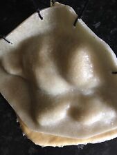 READY TO POST latex and fibreglass mould of a beautiful panthers head 9x8 Inch