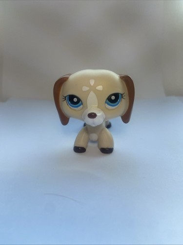 Littlest pet shop lps - shop,