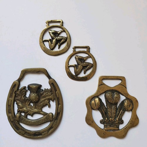 Brass medallion scottish - medallion,