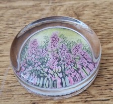 Vintage Glass Paperweight